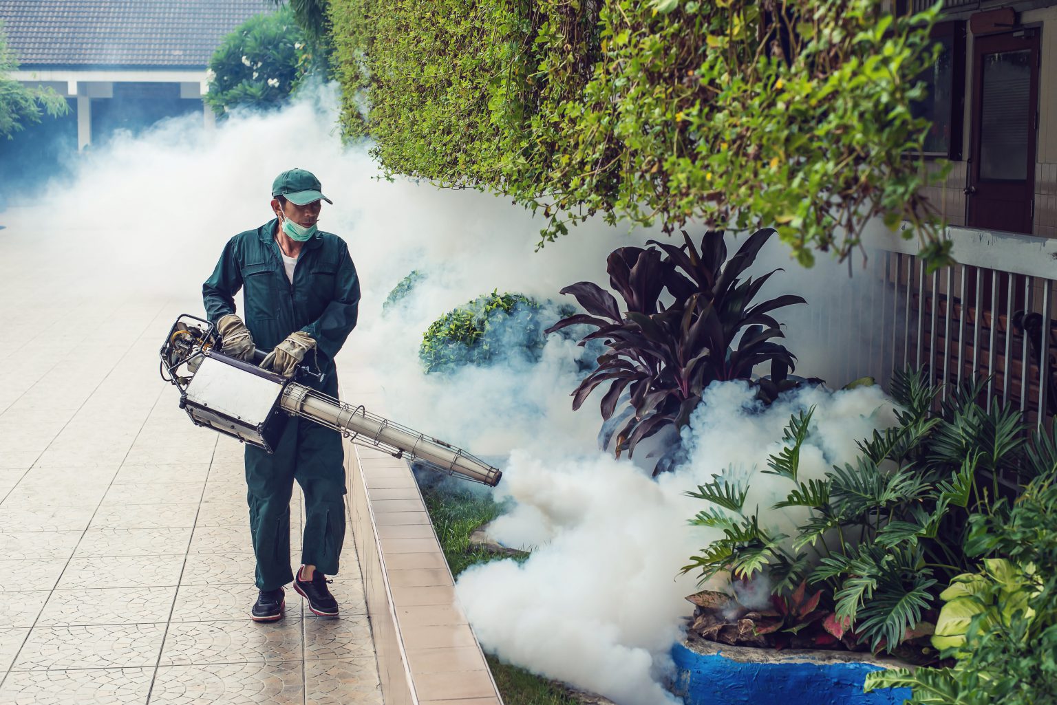 Alpine Pest Control Vancouver Pest Exterminator Vancouver BC