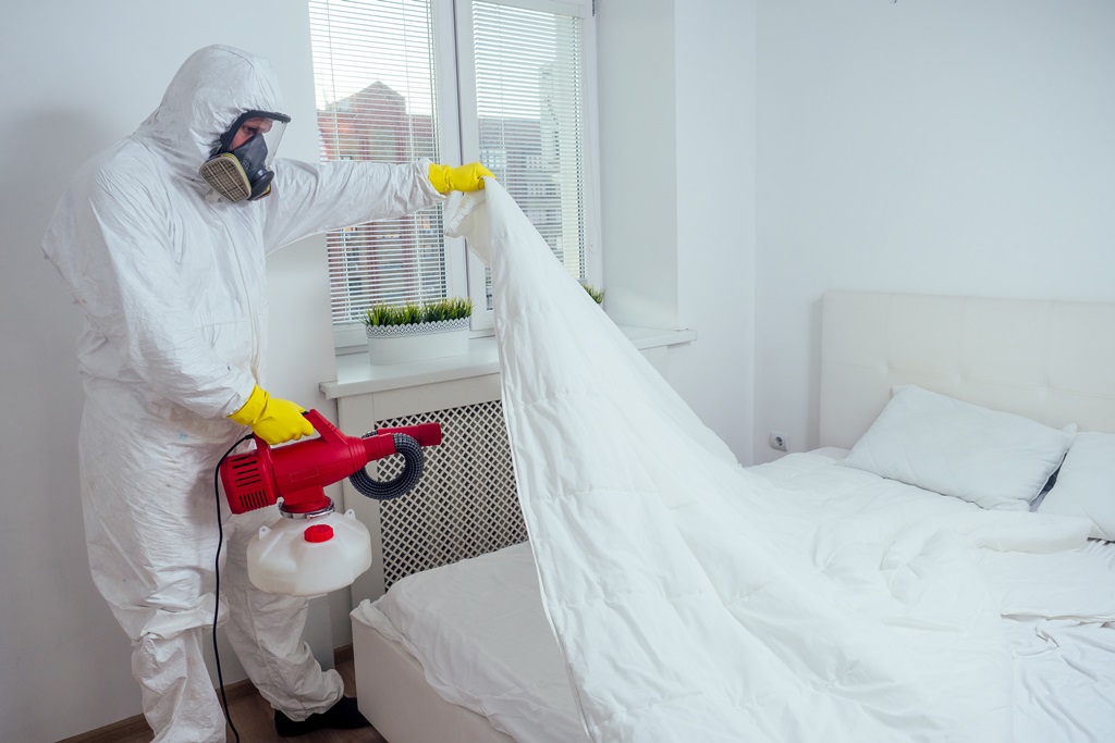 bed bugs removal vacnovuer bc
