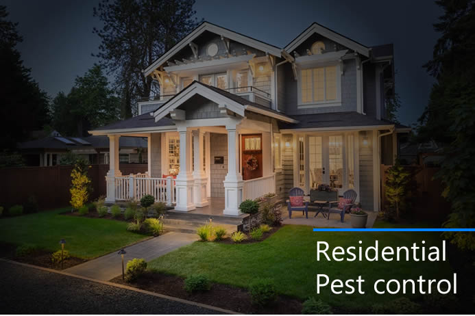 residential pest control