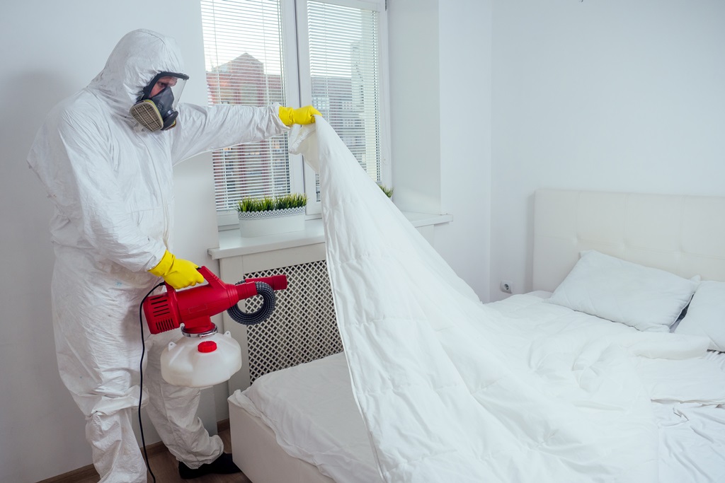 bed bug control vancouver